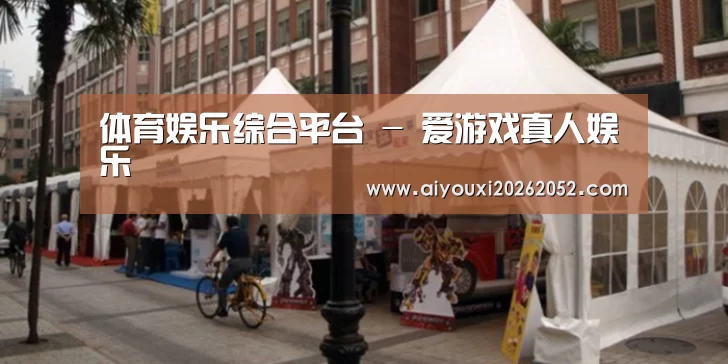 案例标题九