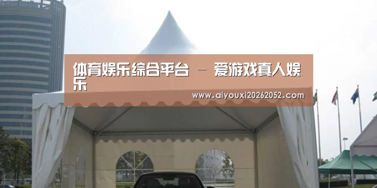 案例标题八