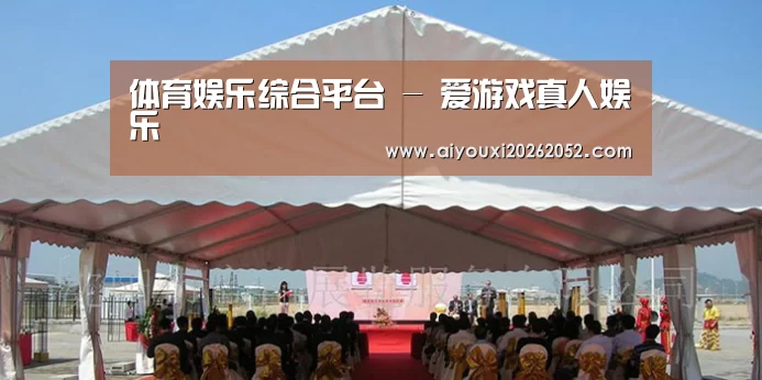 案例标题三